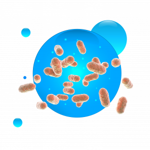 Dokáže střevní mikroflóra kvést?