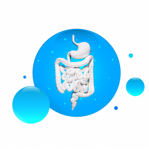 Jak řekl moudrý...